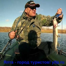 ������� ����