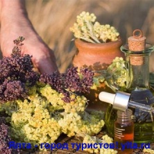 ������� ����