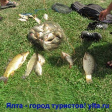 ������� ����